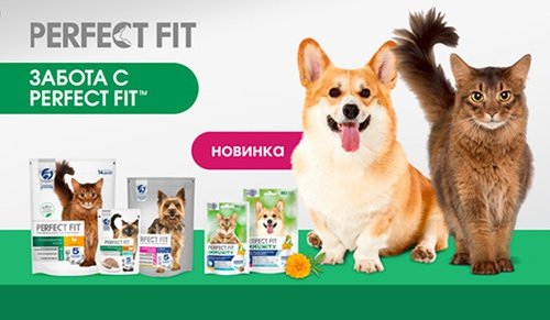 Акция Perfect Fit и Магнит: «Забота с PERFECT FIT в Магнит»