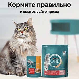 Акция Purina One и Магнит «Кормите правильно»